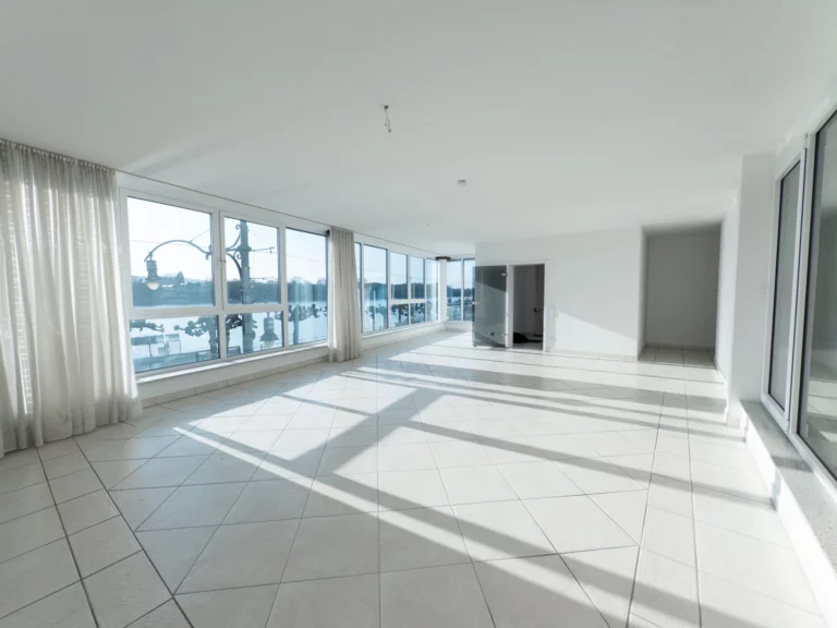 Wohnung mit Panoramablick auf den Rhein