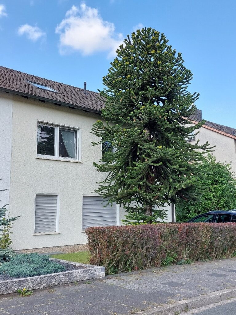 Außergewöhnliche ETW über 2 Ebenen in Hohenlimburg-Reh, 4SZ, Kamin, Parkett, Top Bäder, neuw. Küche!