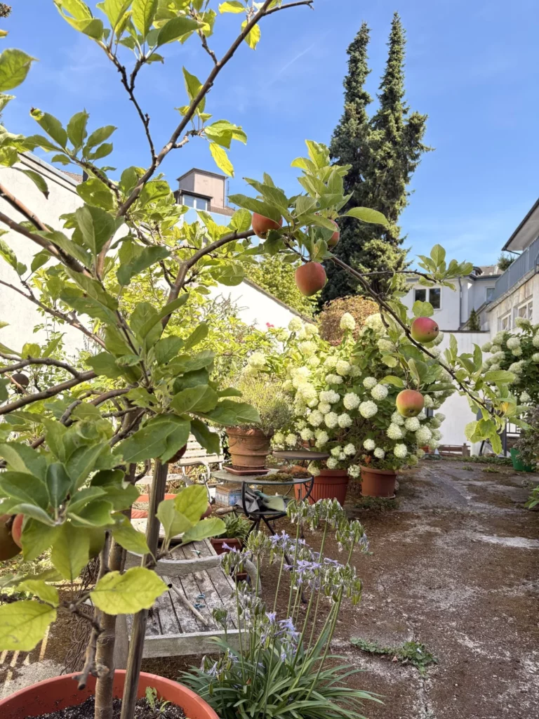 Sanierte 3-Zimmerwohnung mit Balkon und Gartennutzung mitten in der City!